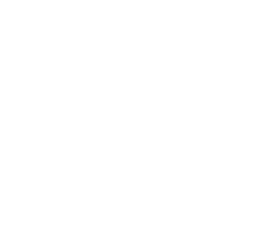 logo2 Raheen Limerick